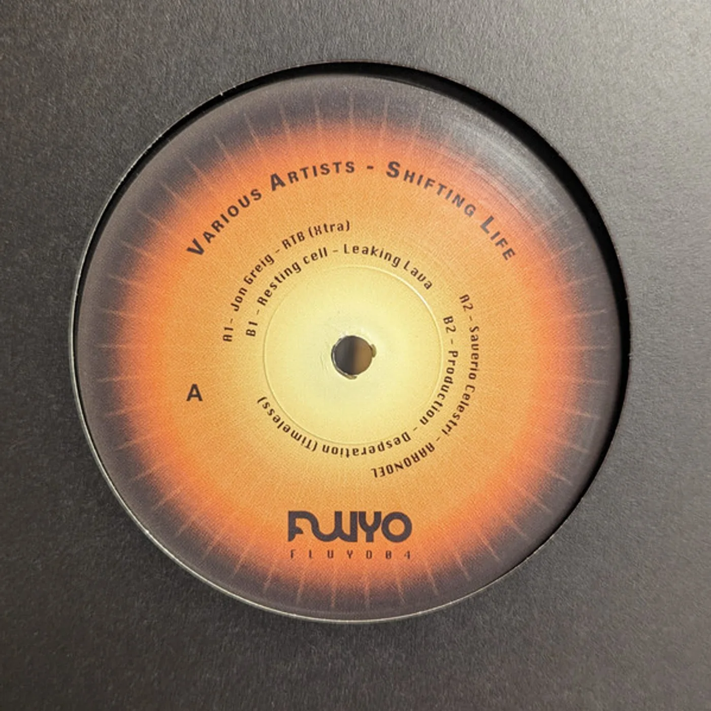 Various - Shifting Life