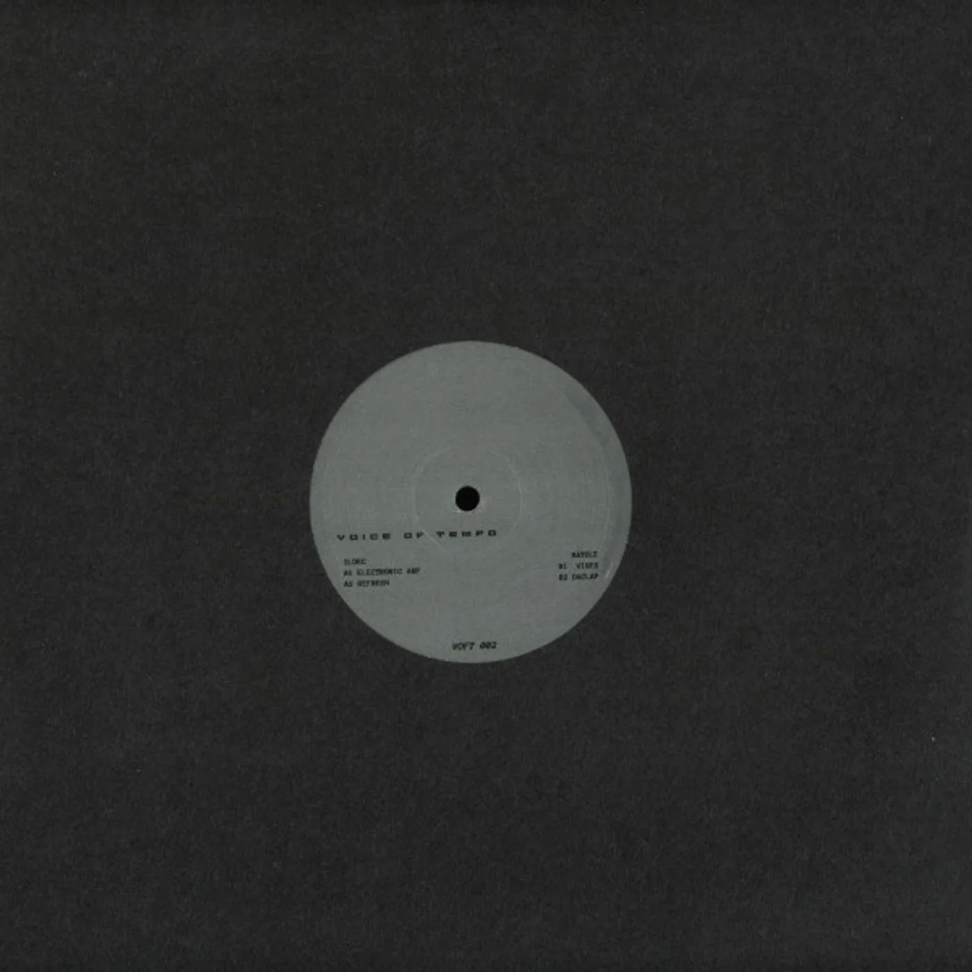 Ildec / Matole - Voice Of Tempo