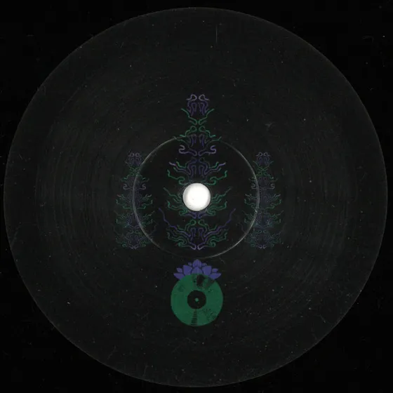 Various - The Sinergy Between Light and Darkness